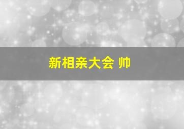 新相亲大会 帅